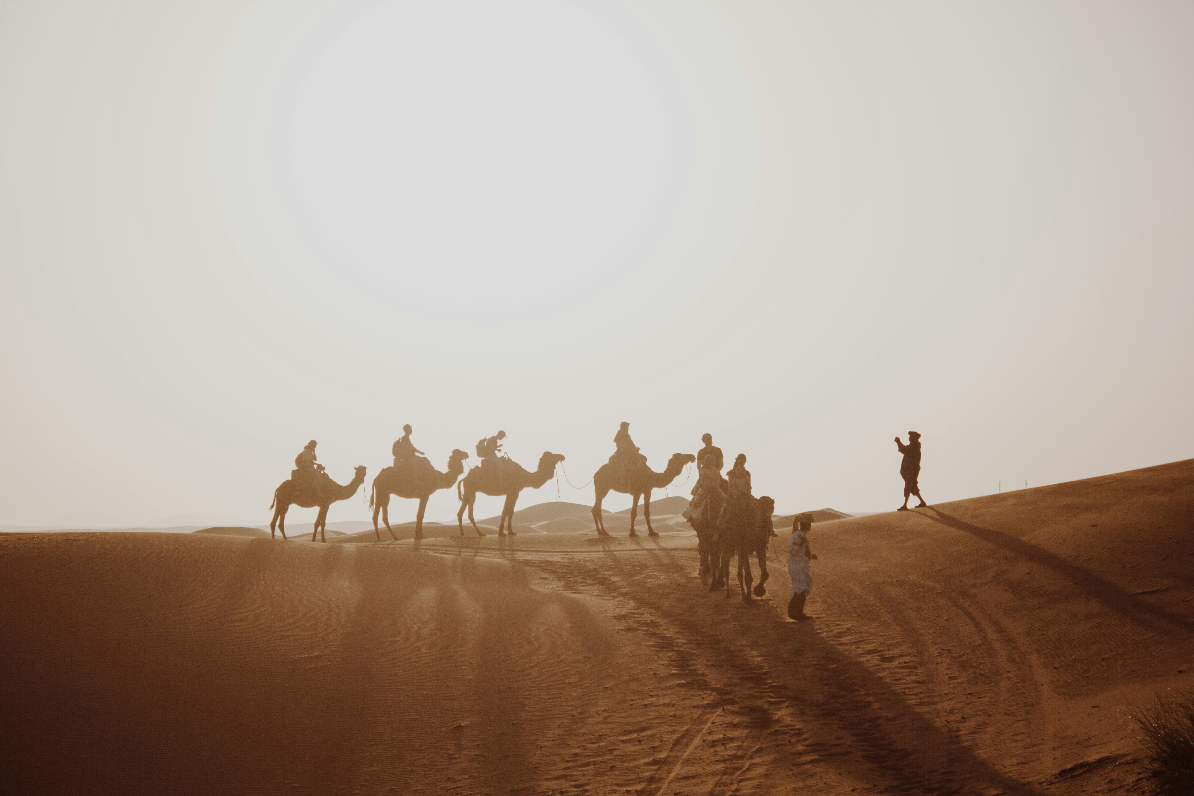 Sahara Desert 3